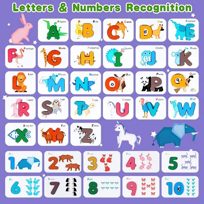 Montessori alfabe numaraları ç - Kids Educational - Alphabet Numbers & More incelemesi ve fiyatı